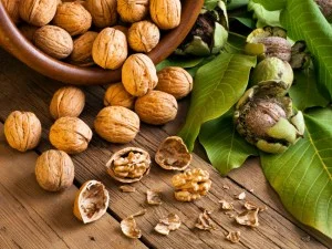 Ordubad Cəvizinin faydaları