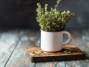 Kəklikotunun faydaları